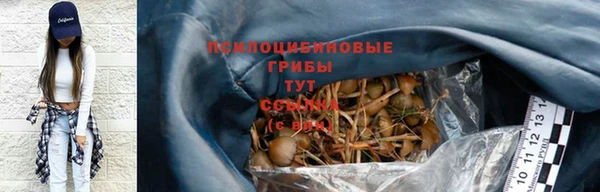 PSILOCYBIN Горнозаводск