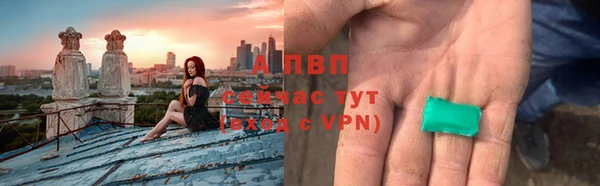 PSILOCYBIN Горнозаводск