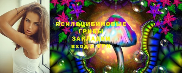 mdpv Горняк