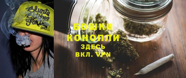 PSILOCYBIN Горнозаводск