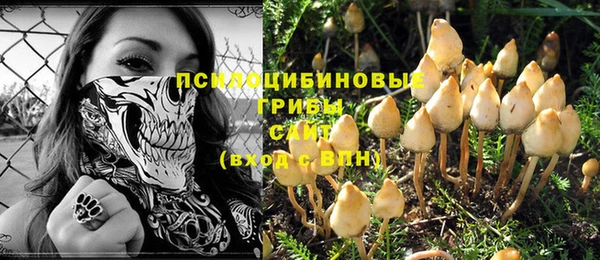 spice Горно-Алтайск