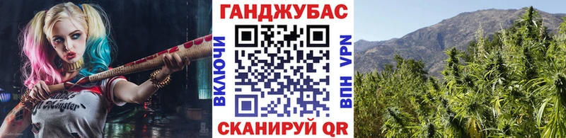 Бошки марихуана SATIVA & INDICA  купить  сайты  Жирновск 